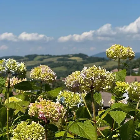 Da Mariuccia Quadrilocale Panoramico Con Giardino كاستليوني دي بيبولي